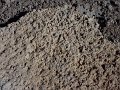 stromatolite 2